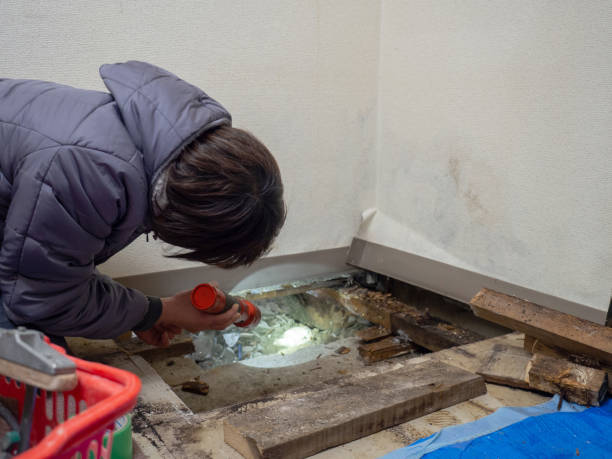 Best Commercial Mold Inspection  in Ranchettes, WY