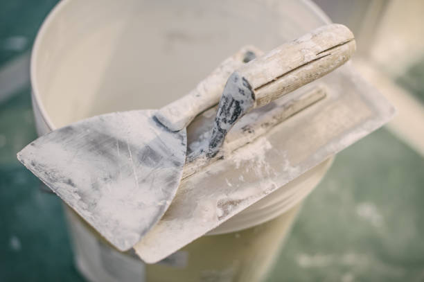 Best Black Mold Removal  in Ranchettes, WY